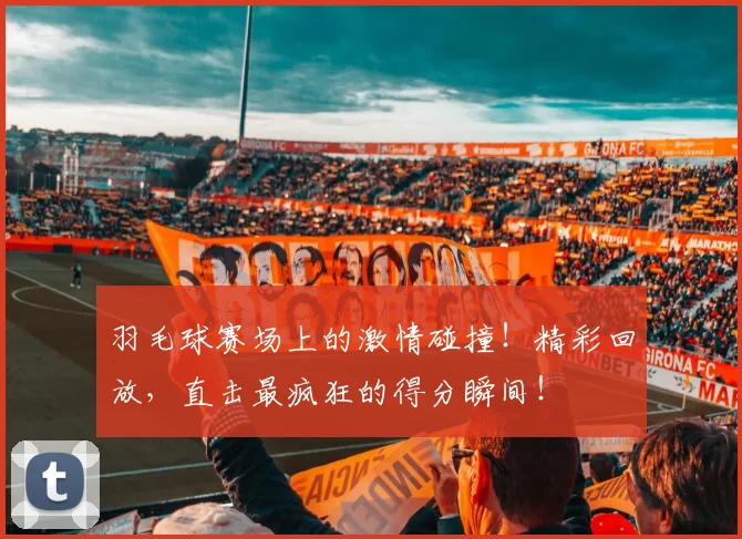 羽毛球赛场上的激情碰撞！精彩回放，直击最疯狂的得分瞬间！
