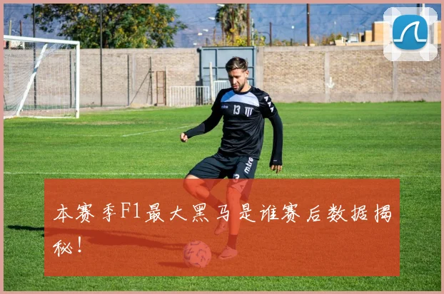 本赛季F1最大黑马是谁赛后数据揭秘！