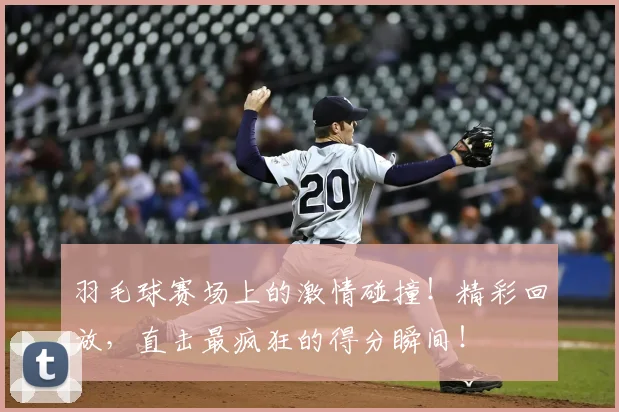 羽毛球赛场上的激情碰撞！精彩回放，直击最疯狂的得分瞬间！